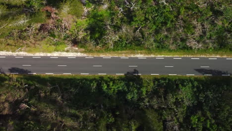 Vertical-aerial-bird's-eye-tracking-along-Maré-Island-road,-Loyalty-Islands