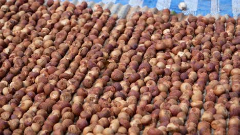 Asian-People-Making-Sun-Dried-Betel-Palm