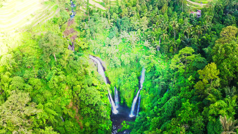 Amazing-Fiji-waterfalls-in-lush-rainforest-canyon-of-Bali,-Indonesia