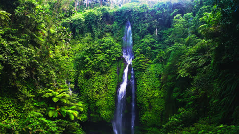 Looking-up-at-Fiji-waterfalls-in-Bali-from-hiking-trail-below,-POV