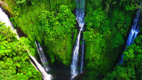Lush-tropical-rainforest-canyon-with-cascading-Fiji-waterfall,-Lemukih
