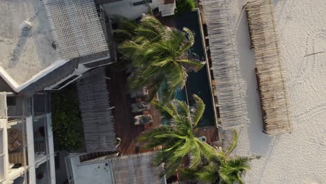 Aerial-orbit-view-descending-over-palm-trees-swaying-in-the-wind-and-swim-pool-on-the-Mexican-coastline-in-Tulum,-Mexico