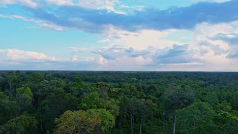 La-Selva-Amazónica-Es-Un-Vasto-Recurso-Natural:-Paso-Elevado
