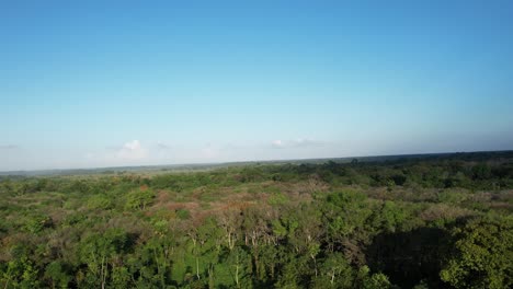 Das-Herz-Des-Amazonas-Regenwaldes-–-Ein-Flug-über-Das-Blätterdach