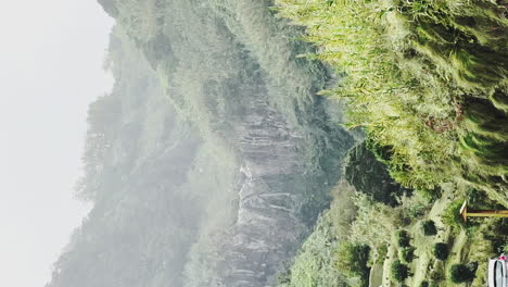 Vertikale-Ansicht-Der-Wilden,-Natürlichen-Grünen-Vegetation-Während-Eines-Regnerischen-Tages-Auf-Der-Azoreninsel