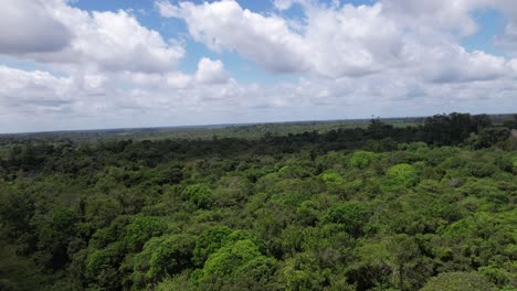 Aufsteigende-Luftaufnahme-Des-Amazonas-Regenwaldes