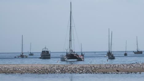 Vogelschwarm-Auf-Einer-Sandbank-An-Der-Pazifikküste-Kaliforniens---Santa-Barbara-Mit-Festgemachten-Yachten