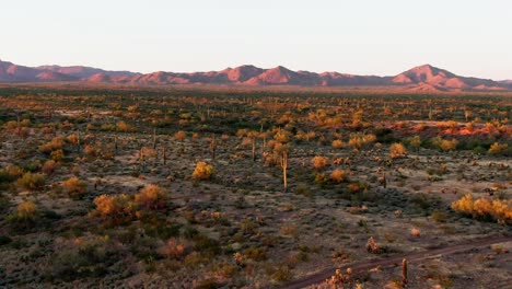 Arizona-desert-with-stunning-Grand-Canyon-mountain-range-in-background,-sunset