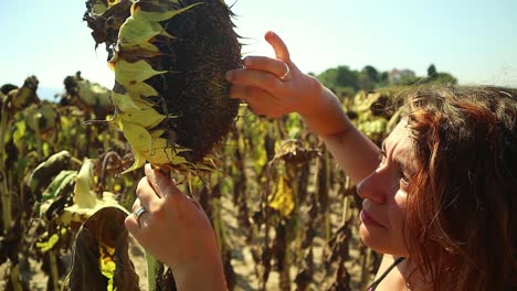 Caucasian-girl-gently-takes-a-seed-from-the-sunflower-plant