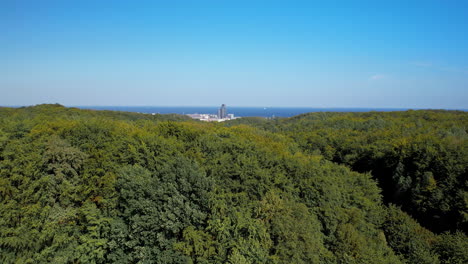 Absteigende-Drohnenaufnahme-Von-Waldbäumen-Und-Der-Stadt-Danzig-Im-Hintergrund-Vor-Blauem-Himmel