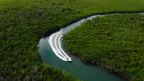 Aerial-view-of-people-enjoying-adventurous-and-adrenaline-fast-ride-in-motorboat-through-mangrove-forest