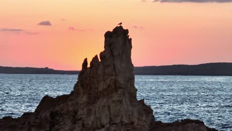 Eine-Möwe-Thront-Während-Eines-Wunderschönen-Sonnenuntergangs-Auf-Einem-Felsen-In-Der-Cala-Pregonda