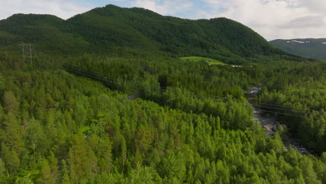 Bosque-De-Abetos-Cerca-De-La-Carretera-Asfaltada-Y-Valles-En-Noruega,-Europa