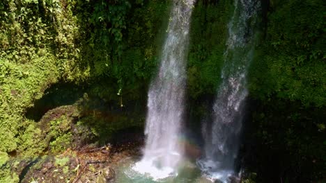 Wasserfälle-Fallen-In-Den-Kleinen-Teich,-Umgeben-Von-Vielfältiger-Dichter-Vegetation