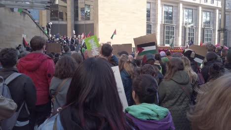 People-with-Pro-Palestine-signs-at-a-protest