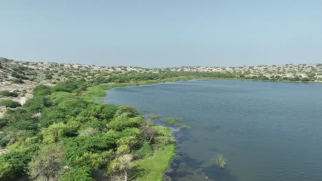 Aufschlussreiche-Aufnahme-Von-Transparentem-Seewasser-Und-Grün-Rund-Um-Das-Seewasser-Des-Natürlichen-Lebensraums,-Botar-Lake-Sanghar,-Pakistan