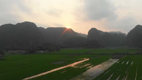 Weitblick-Auf-üppige-Grüne-Reisfelder-Bei-Tam-Coc-Ninh-Binh-Vietnam,-Luftaufnahme