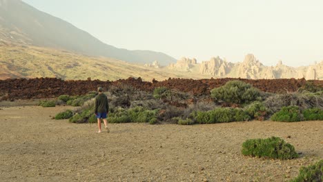 Male-tourist-walks-through-volcanic-landscape-with-scarce-vegetation