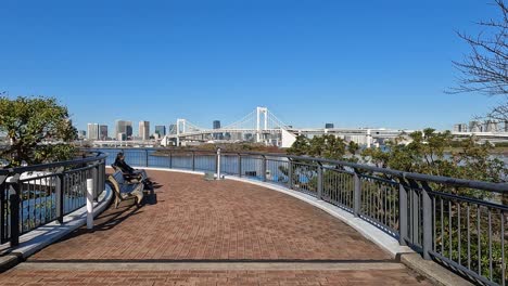 Tokyo-seen-from-the-artificial-island-of-Odaiba-in-Tokyo-Bay