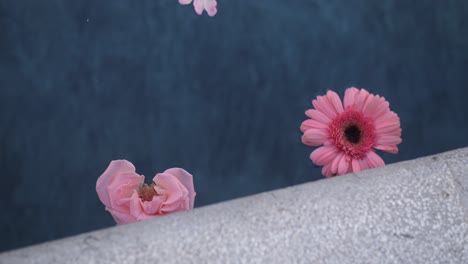 towo-pink-flowers-floating-on-water,-slow-motion-top-view-closeup