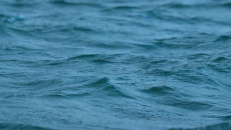 Tranquil-scene-of-rhythmic-waves-rolling-in-turquoise-water,close-up