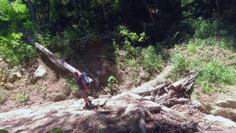 Male-backpacker-with-bedroll-emerges-from-dark-jungle-into-clearing