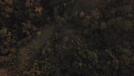 Dramatic-top-down-dron-shot-over-lush-green-hills-and-trees-in-sunset,-dark-and-moody
