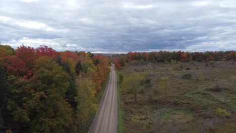 Drone-view-of-dirt-road-through-colorful-autumn-forest