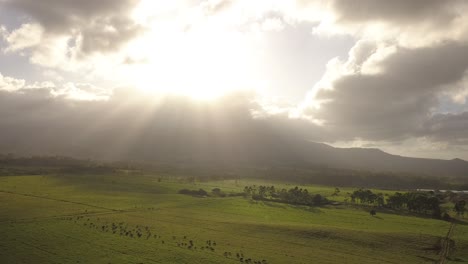 Drone-shot-flying-back-over-cattle-and-grass,-dramatic-sun-rays-peaking-through-clouds-over-the-mountains-overlooking-lush-green-hills
