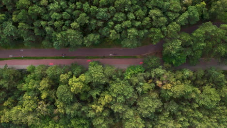 Aerial-view-of-a-winding-road-amid-dense-green-forest