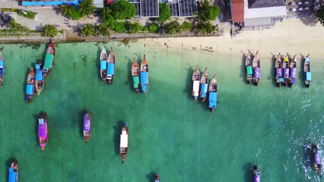 Longtail-Boats-Shoreline-Koh-Phi-Phi-Island,-Top-Down-View-Overhead,-Thailand