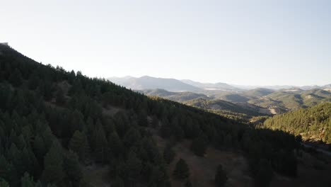 Drohnenaufnahme,-Die-Die-Goldenen-Farbtöne-Eines-Sonnenuntergangs-In-Colorado-Einfängt-Und-Einen-Warmen,-ätherischen-Glanz-über-Eine-Weite-Fläche-Mit-Kiefern-Bewachsener-Berge-Wirft