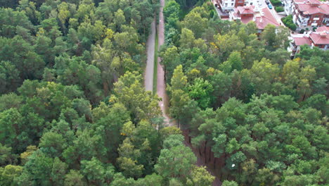 Aerial-view-of-a-serene-tree-lined-pathway-cutting-through-dense-green-forest-with-hints-of-nearby-settlement