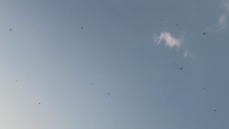 Dragonflies-flying-freely-against-the-sky.-Upward-view