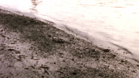 Agua-Y-Barro-En-La-Orilla-De-Un-Lago-Al-Atardecer-En-Londres-1970