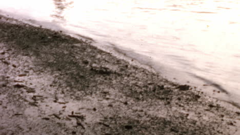 Water-and-Mud-on-a-Lakeshore-at-Sunset-in-London-1970s