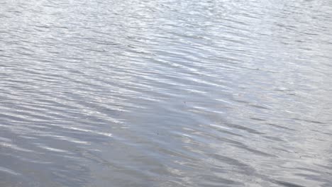 Water-ripples-on-small-midwest-lake