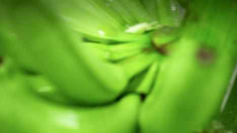 Detail-shot-of-worker-cutting-banana-bunches