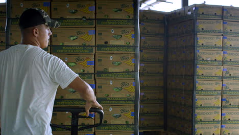 general-shot-of-worker-moving-boxes-of-bananas