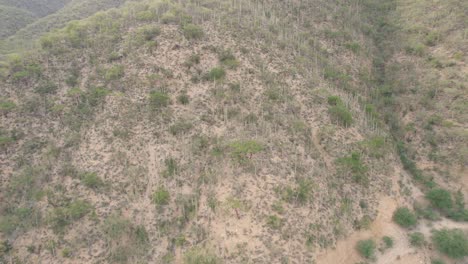 Vegetation-covered-hills-in-Oaxaca,-aerial-view,-Mexico