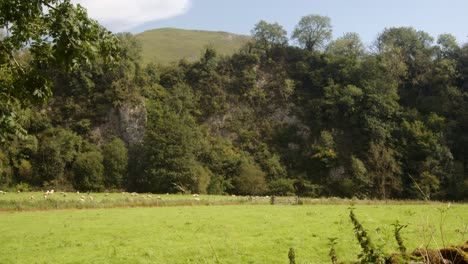 mid-shot-of-the-manifold-valley-next-to-Wetton-mill