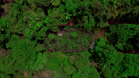 A-view-of-forests-around-El-Santuario-Ecological-Sanctuary,-Costa-Rica