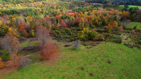 Generic-fall-foliage-on-rainy-day-in-Western-Massachusetts,-USA