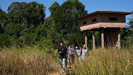 People-enjoying-wildlife-and-nature-walking-on-a-trail-going-away-from-the-wildlife-observation-tower-in-Khao-Yai-National-Park,-Thailand