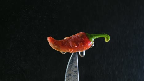 A-wet-chili-pepper-on-a-knife-with-a-black-background