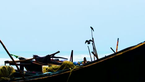 A-black-crow-lands-on-a-fishing-boat-as-it-docks-during-the-monsoon