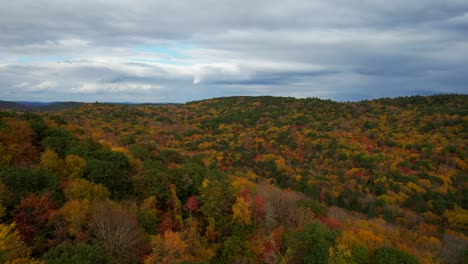 Aerial-view-of-generic-autumn-leaves-on-a-rainy-day-in-western-Massachusetts,-USA