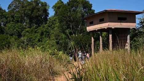 A-group-of-wildlife-enthusiasts-walking-away-from-a-wildlife-observation-tower-as-a-boy-runs-ahead,-Khao-Yai-National-Park,-Thailand