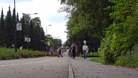 Static-shot-of-people-walking-down-the-street-in-the-park-on-a-sunny-day-in-slow-motion