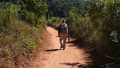 A-woman-waking-away-on-a-trail-with-a-backpack-and-a-water-bottle-container-as-other-people-are-already-ahead,-Khao-Yai-National-Park,-Thailand